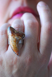 Maritime Ring Fire Orange Shark Tooth