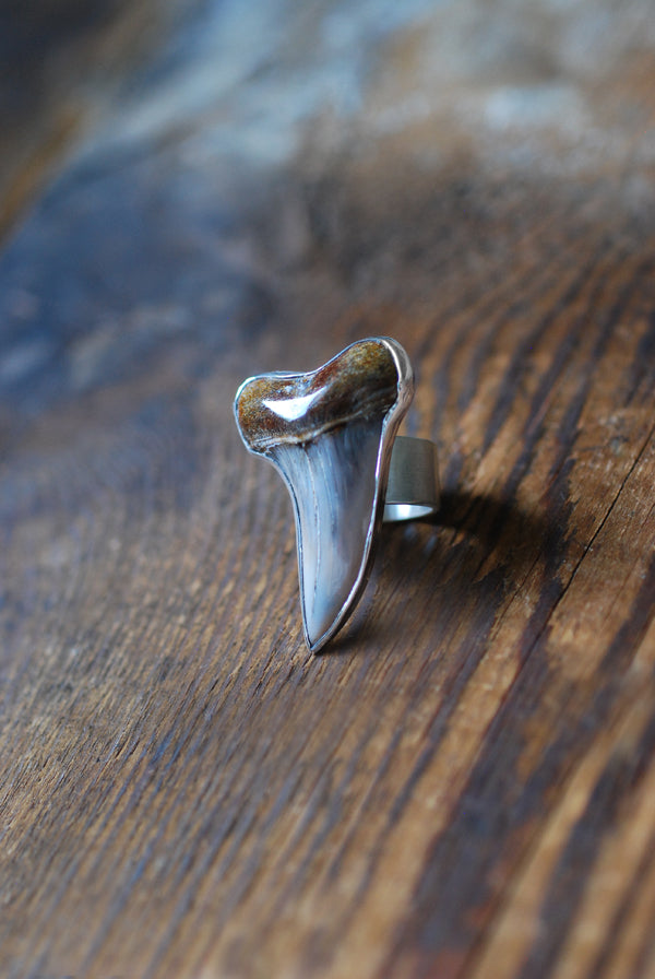 Maritime Ring Great White Shark Tooth