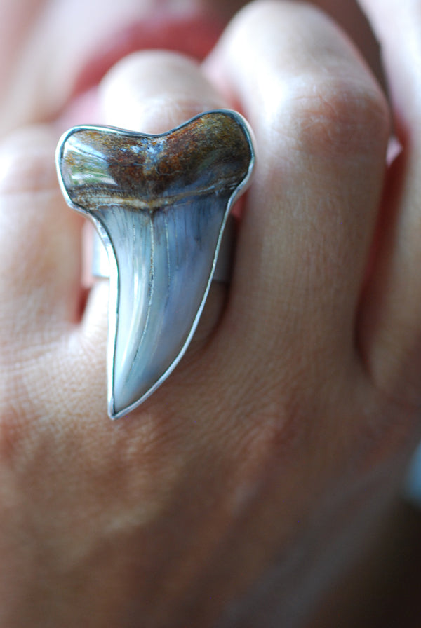 Maritime Ring Great White Shark Tooth