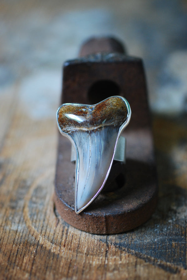 Maritime Ring Great White Shark Tooth