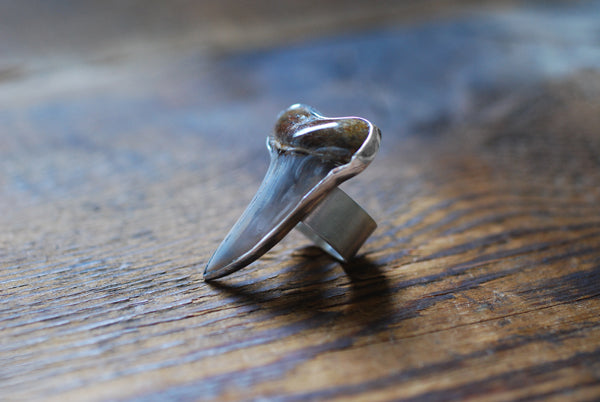 Maritime Ring Great White Shark Tooth