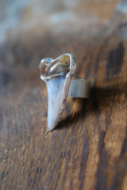 Maritime Ring Great White Shark Tooth