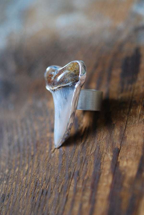 Maritime Ring Great White Shark Tooth