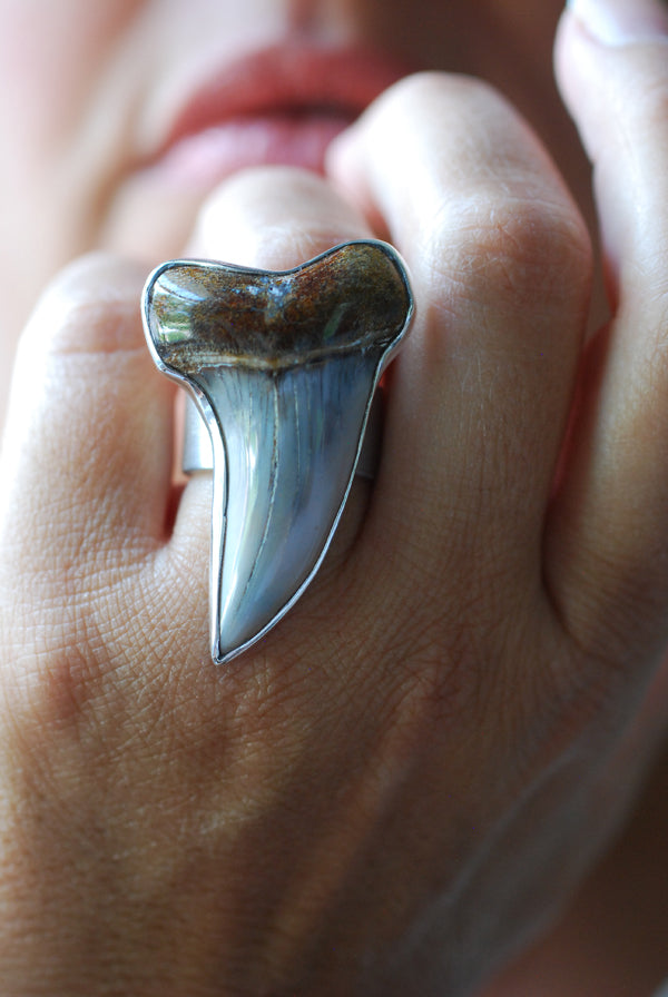 Maritime Ring Great White Shark Tooth