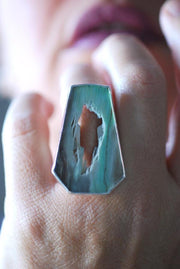 Petrified Wood Ring Opal Wood