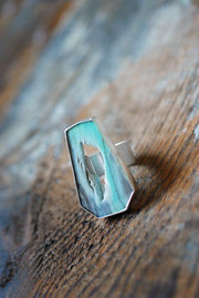 Petrified Wood Ring Opal Wood