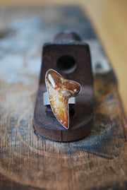 Maritime Ring Fire Orange Shark Tooth