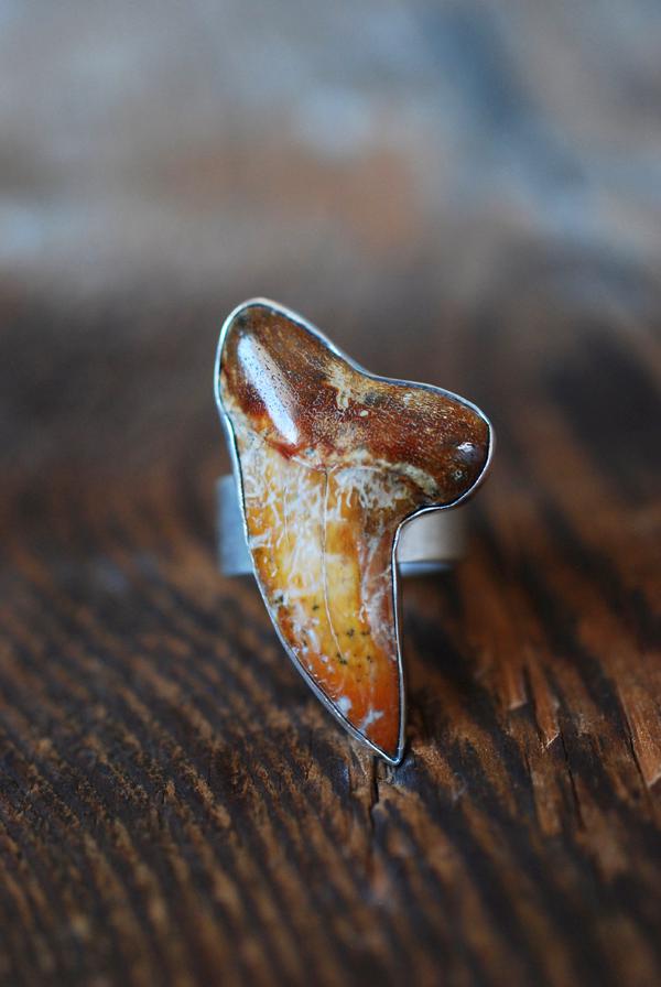 Maritime Ring Fire Orange Shark Tooth