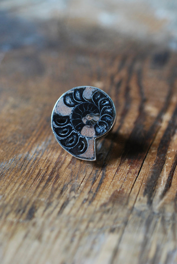 Dollybird By The Sea Ring Black Crystal Drusy Ammonite