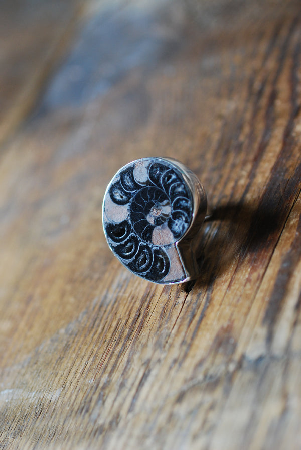 Dollybird By The Sea Ring Black Crystal Drusy Ammonite