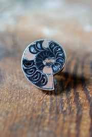 Dollybird By The Sea Ring Black Crystal Drusy Ammonite