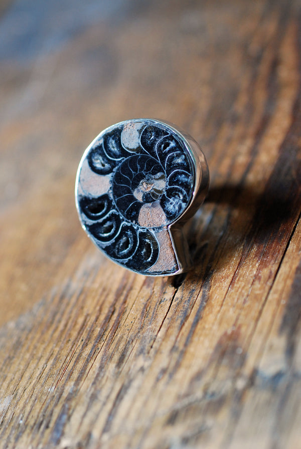 Dollybird By The Sea Ring Black Crystal Drusy Ammonite