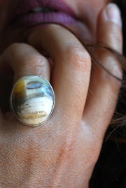 Felidae Ring Natural Cats Eye Bubbly Chrysoberyl