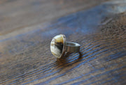 Felidae Ring Natural Cats Eye Bubbly Chrysoberyl