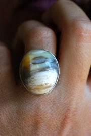 Felidae Ring Natural Cats Eye Bubbly Chrysoberyl