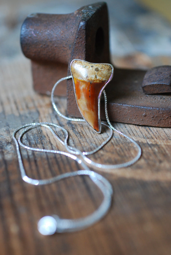 Golden Maritime Pendant Collector's Shark Tooth