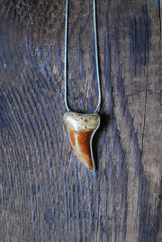 Golden Maritime Pendant Collector's Shark Tooth