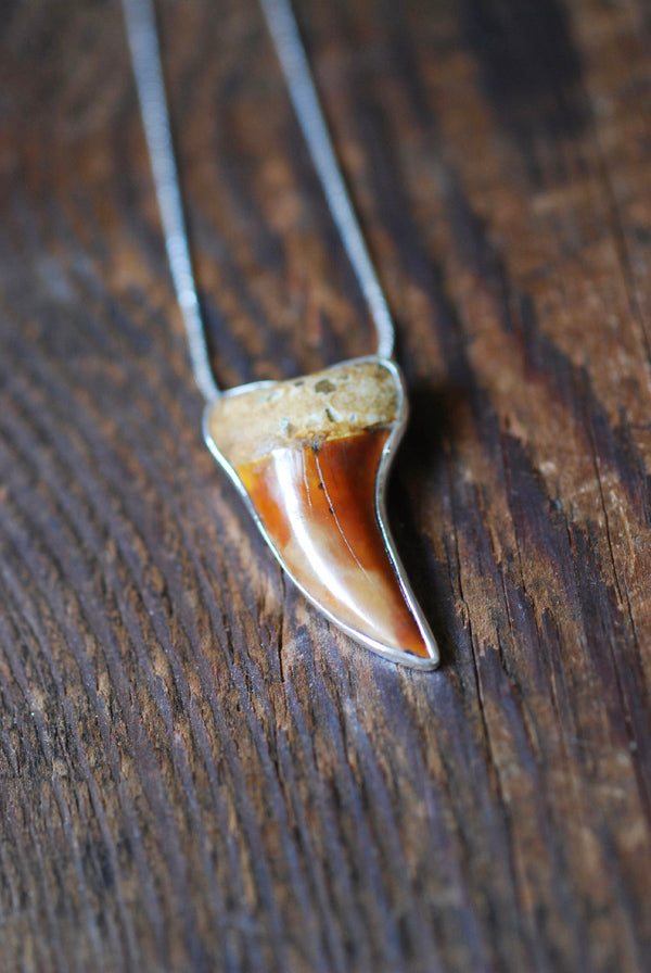 Golden Maritime Pendant Collector's Shark Tooth