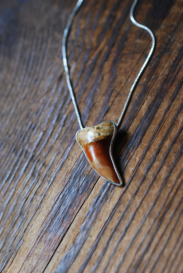 Golden Maritime Pendant Collector's Shark Tooth