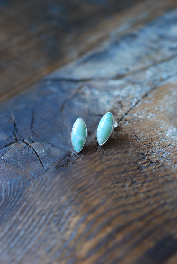 Blue Petrified Wood Studs