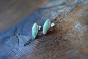 Blue Petrified Wood Studs