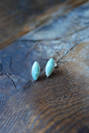 Blue Petrified Wood Studs