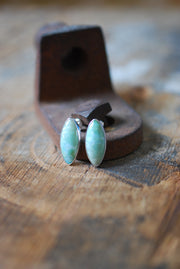 Blue Petrified Wood Studs