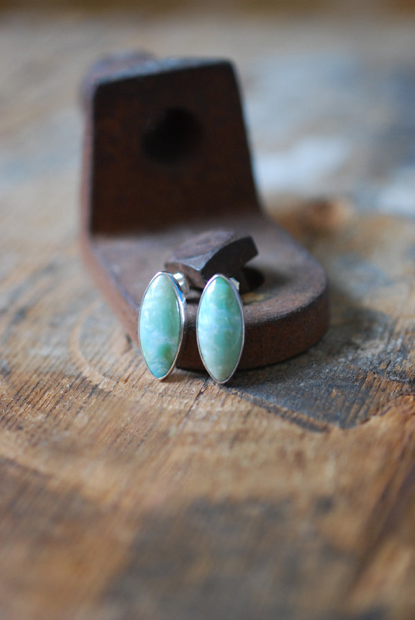 Blue Petrified Wood Studs