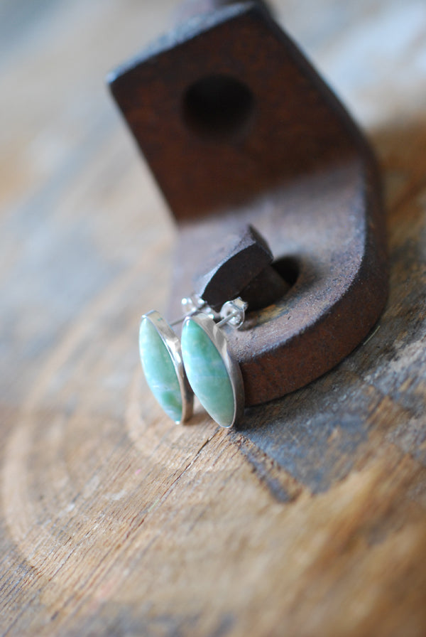Blue Petrified Wood Studs