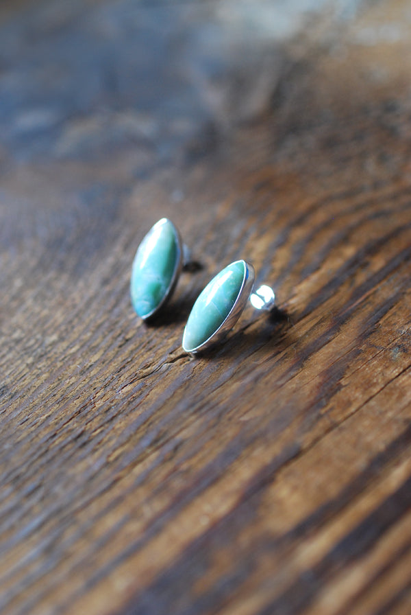 Blue Petrified Wood Studs