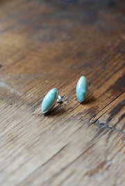 Blue Petrified Wood Studs