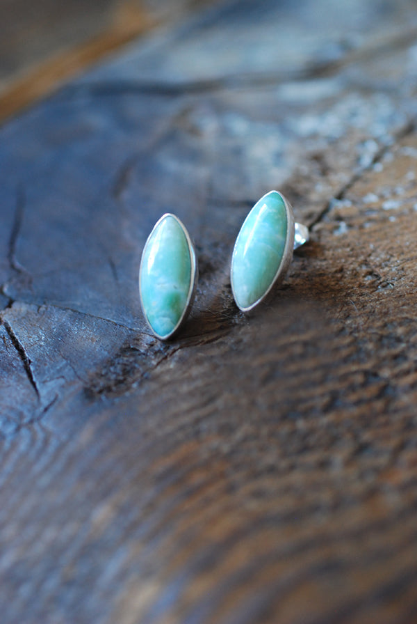 Blue Petrified Wood Studs
