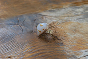 Polka Dot Agate Ring