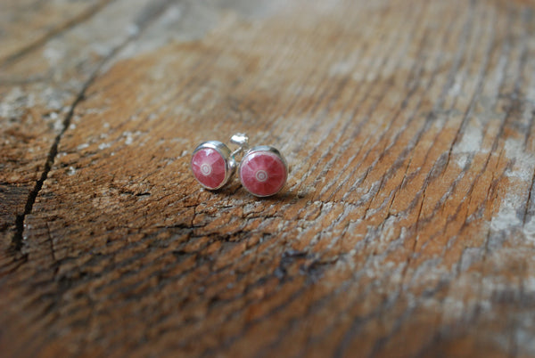 Rhodochrosite Bullseye Gem Studs