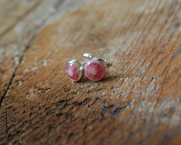 Rhodochrosite Bullseye Gem Studs