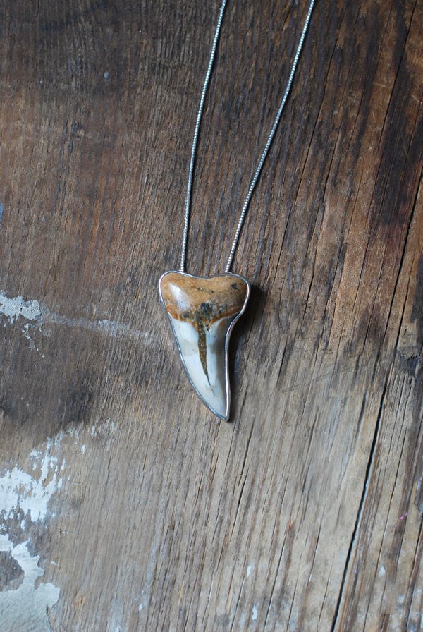 Maritime Pendant Collector's Fossil Shark Tooth Necklace